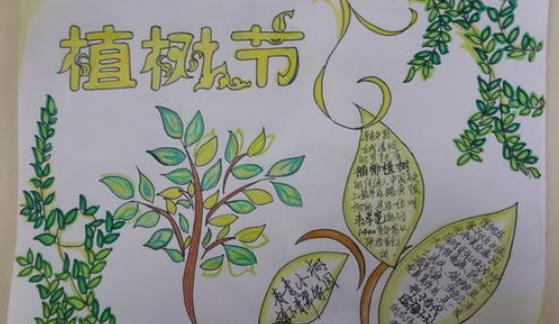 小学生植树节手抄报画画图集