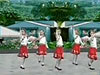 北京的金山上少儿舞蹈视频教学在线看