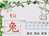 幼儿学汉字早教视频在线播放