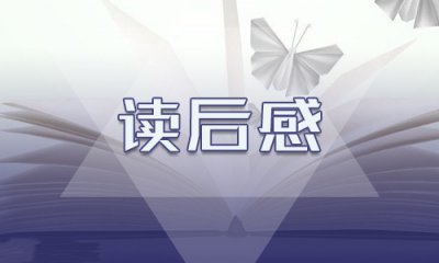 《绿野仙踪》读后心得感想800字5篇