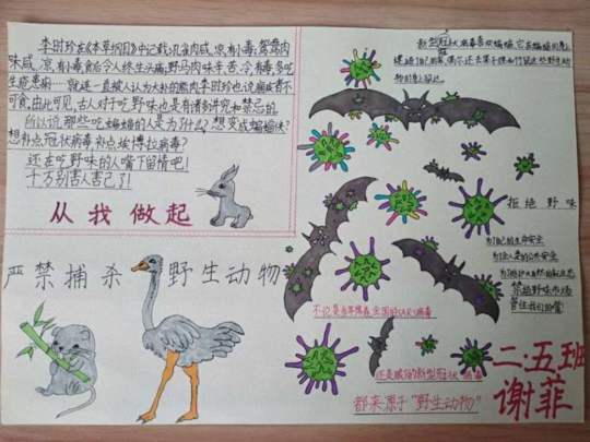 2020病毒手抄报图片简单的_新型冠状肺炎手抄报大全
