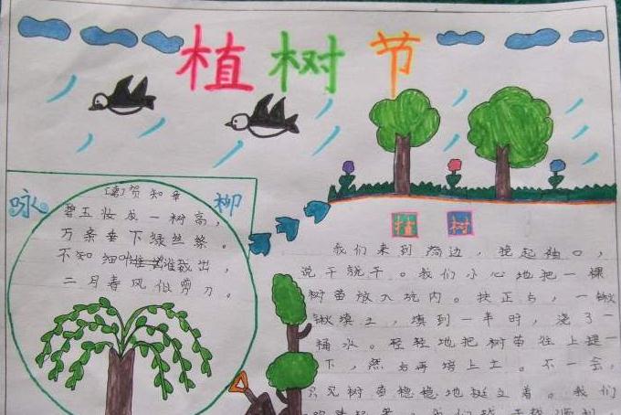 2020抗疫情植树节手抄报小学生绘画