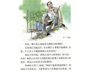 桃花心木读书笔记10篇