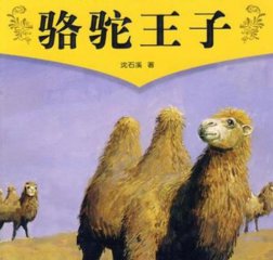 骆驼王子五年级读书笔记10篇