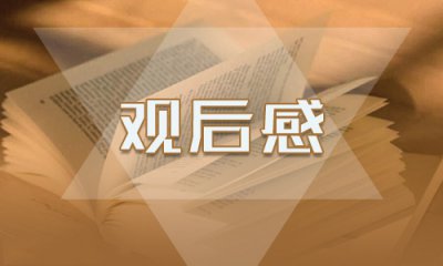 2022中国消防观后感范文精选5篇