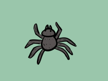 超简单的黑蜘蛛简笔画步骤图