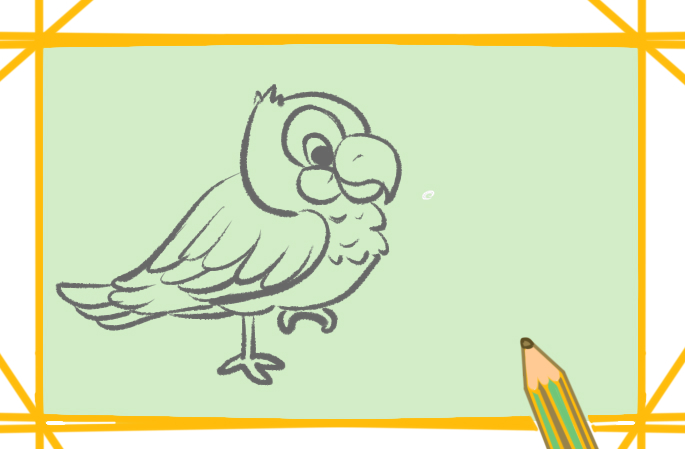 漂亮的鹦鹉简笔画要怎么画