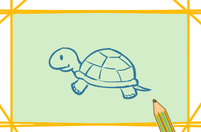 好看的乌龟上色简笔画图片教程