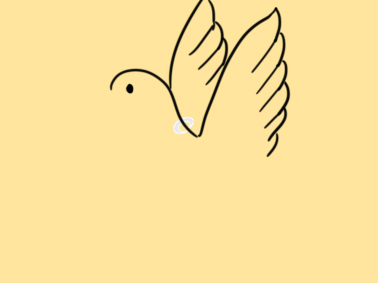 和平的白鸽简笔画要怎么画