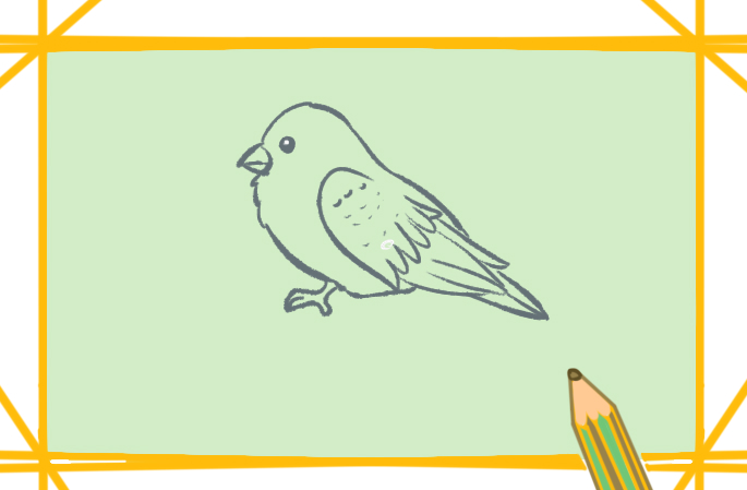 美丽的小鸟简笔画图片教程