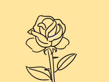 高贵的玫瑰简笔画要怎么画
