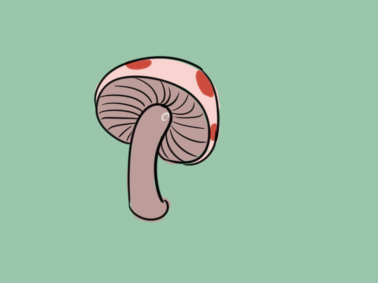 蔬菜之蘑菇彩色简笔画要怎么画