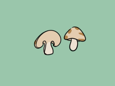 鲜美的蘑菇简笔画要怎么画