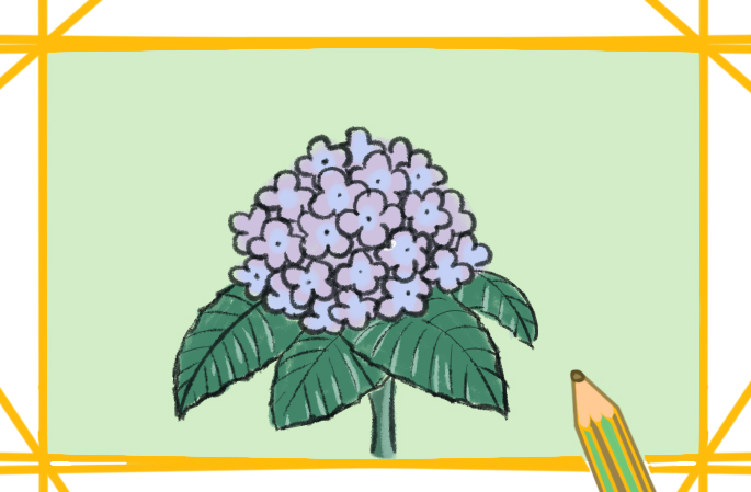 淡紫色的绣球花简笔画要怎么画