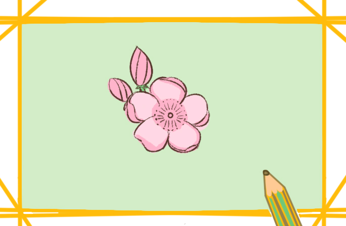 粉色的桃花上色简笔画图片教程