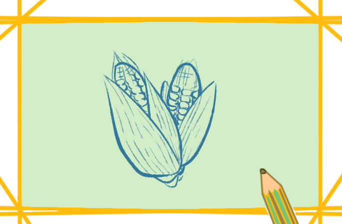 漂亮的玉米上色简笔画要怎么画