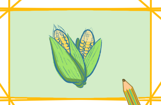谷物之玉米简笔画要怎么画