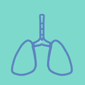 超简单的肺部简笔画原创教程步骤
