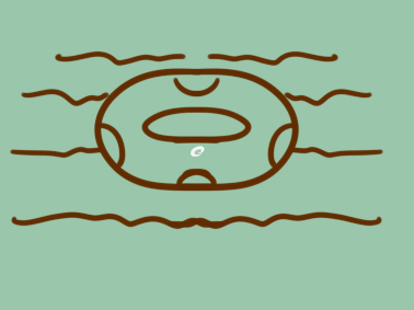 海上的游泳圈儿童简笔画要怎么画