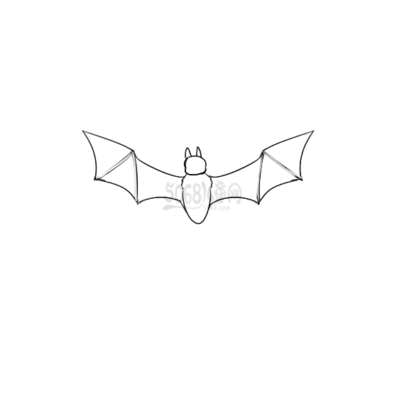 炫酷的蝙蝠简笔画教程