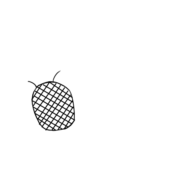 又简单又好看的菠萝儿童简笔画