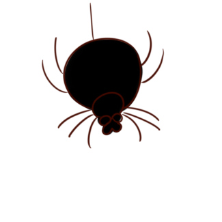 超简单的小黑蛛简笔画原创教程步骤