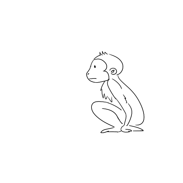 画小猴子的简笔画步骤图