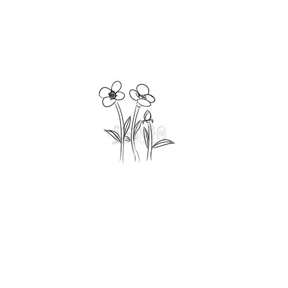 简单的花花草草怎么画
