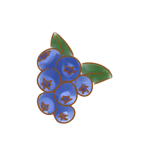 漂亮的蓝莓简笔画要怎么画