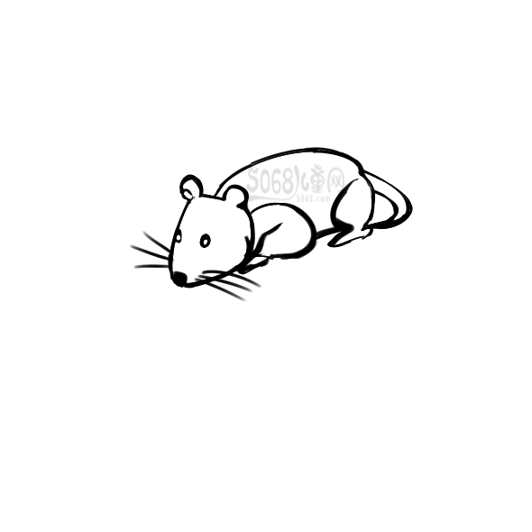 鼠年老鼠怎么画