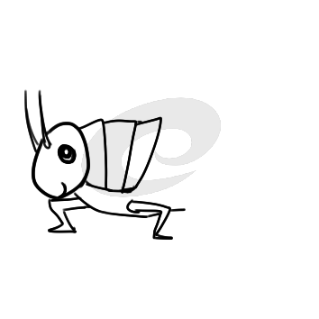 昆虫蚂蚱简笔画要怎么画
