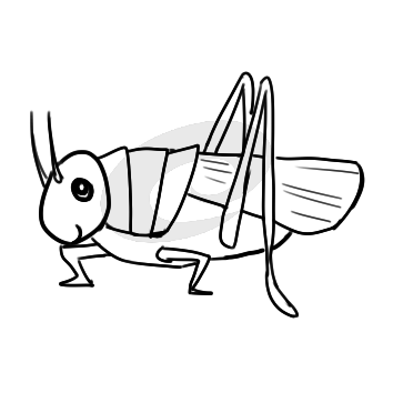 昆虫蚂蚱简笔画要怎么画