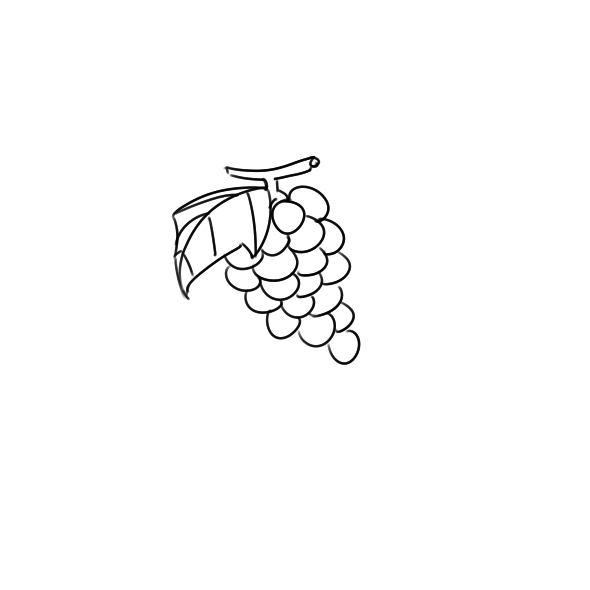 葡萄简笔画手绘步骤图