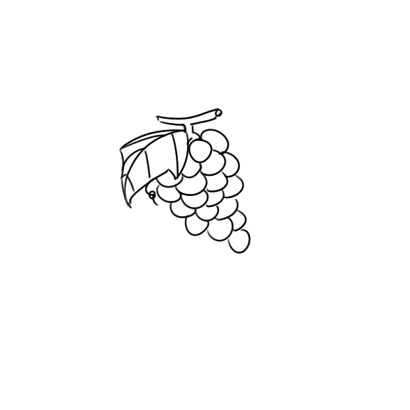 葡萄简笔画手绘步骤图