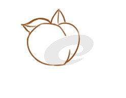 水果之桃子简笔画要怎么画