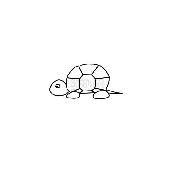 超简单的乌龟要怎么画