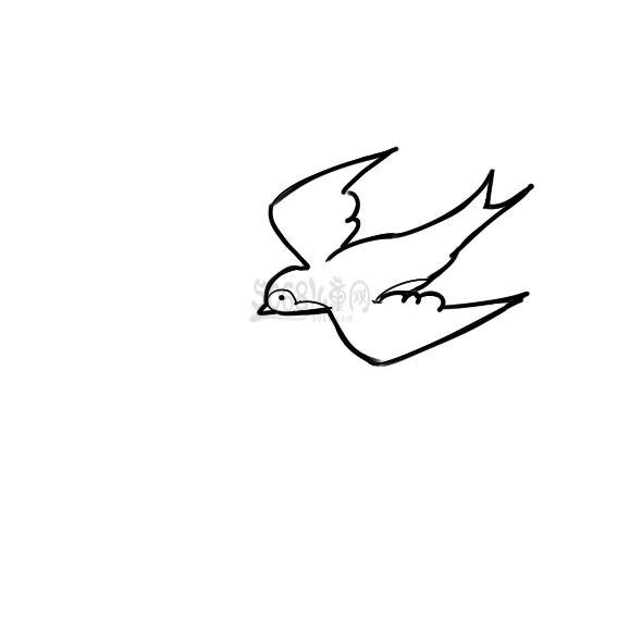 雪飞燕的简笔画图片