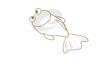 可爱的金鱼简笔画原创教程步骤