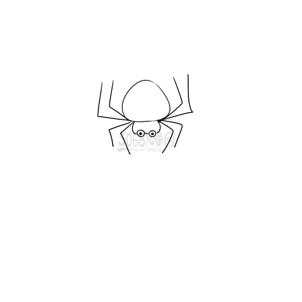 漂亮的蜘蛛小学生简笔画怎么画
