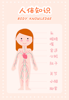 人体知识